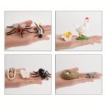 Life Cycle Learning & Education Toys Kit - Image 7