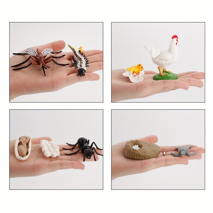 Life Cycle Learning & Education Toys Kit - Image 7