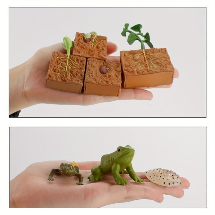Life Cycle Learning & Education Toys Kit - Image 2