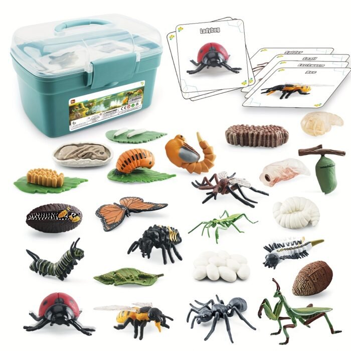 Life Cycle Learning & Education Toys Kit - Image 6