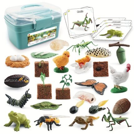 Life Cycle Learning & Education Toys Kit