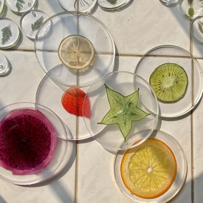 Fruits 3D Specimen Blocks – (6pcs) - Image 9