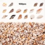 The Mixed Mini Seashells set (900pcs) (3years+)