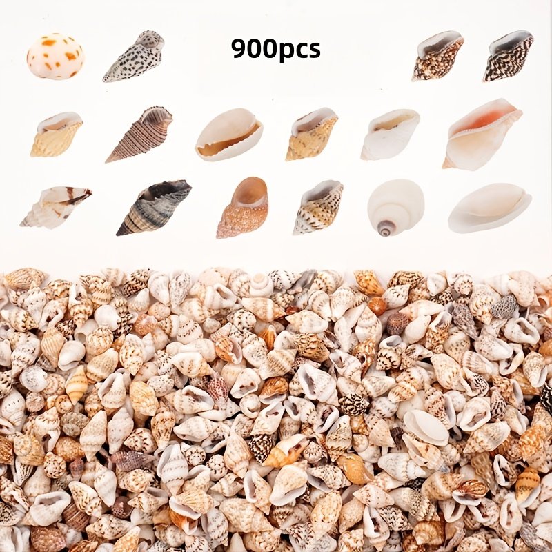 product-fancy-18931715-2717-4093-8a1b-c2c627db3303 The Mixed Mini Seashells set (900pcs) (3years+) - Image 1