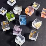 Plant & Shells 3D Specimen Blocks (12 Blocks) - Image 2