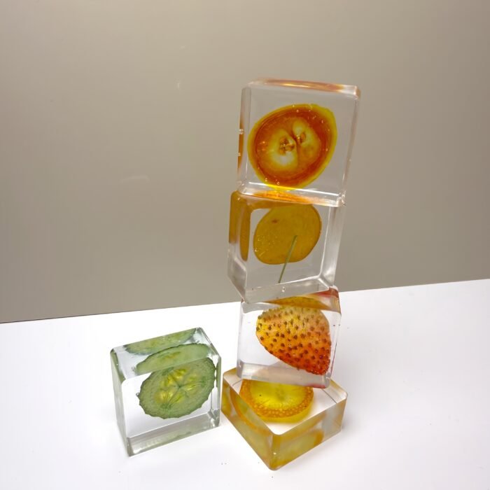 Fruits 3D Specimen Blocks – (5pcs) - Image 8