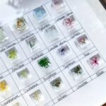 Plant & Shells 3D Specimen Blocks (12 Blocks) - Image 9