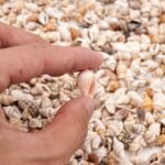 The Mixed Mini Seashells set (900pcs) (3years+) - Image 4