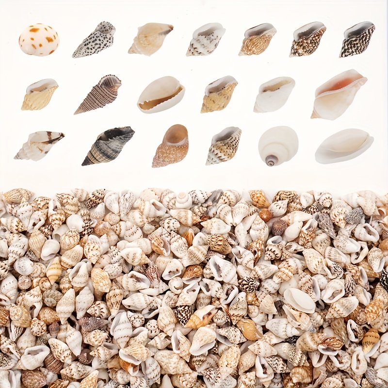 product-fancy-4b01b6f5-5124-4c39-937c-cd39a33ddd2a The Mixed Mini Seashells set (900pcs) (3years+) - Image 7