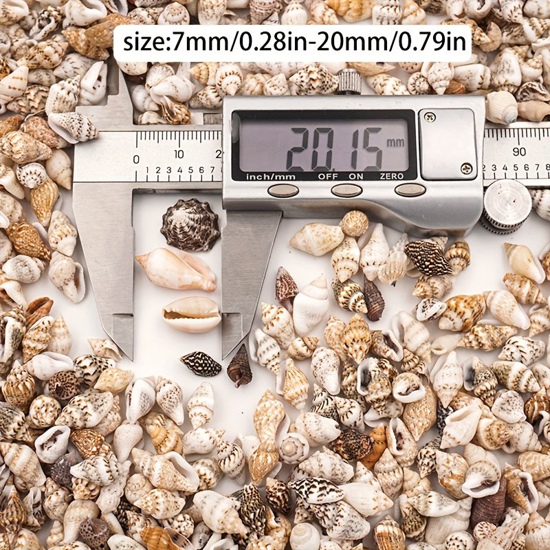 product-fancy-51304994-5836-49bf-bc21-040dbeaca4fc The Mixed Mini Seashells set (900pcs) (3years+) - Image 5
