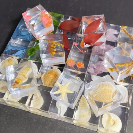 Plant & Shells 3D Specimen Blocks (12 Blocks)