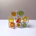 Fruits 3D Specimen Blocks – (5pcs) - Image 2