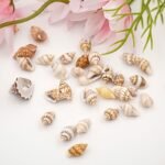 The Mixed Mini Seashells set (900pcs) (3years+) - Image 8