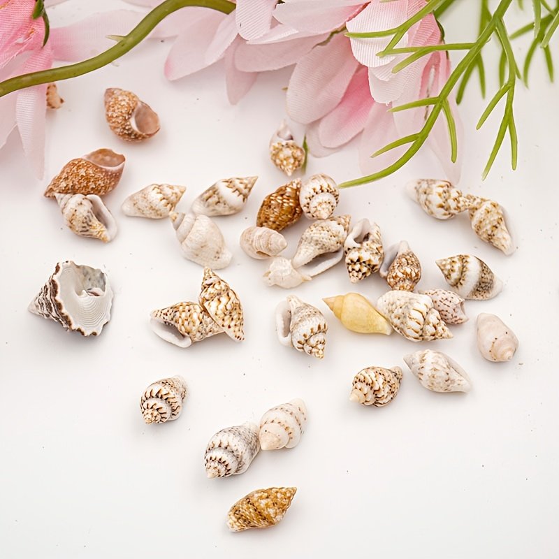 product-fancy-7e2e683a-7f15-44f1-87c5-f3cfb5c45439 The Mixed Mini Seashells set (900pcs) (3years+) - Image 8