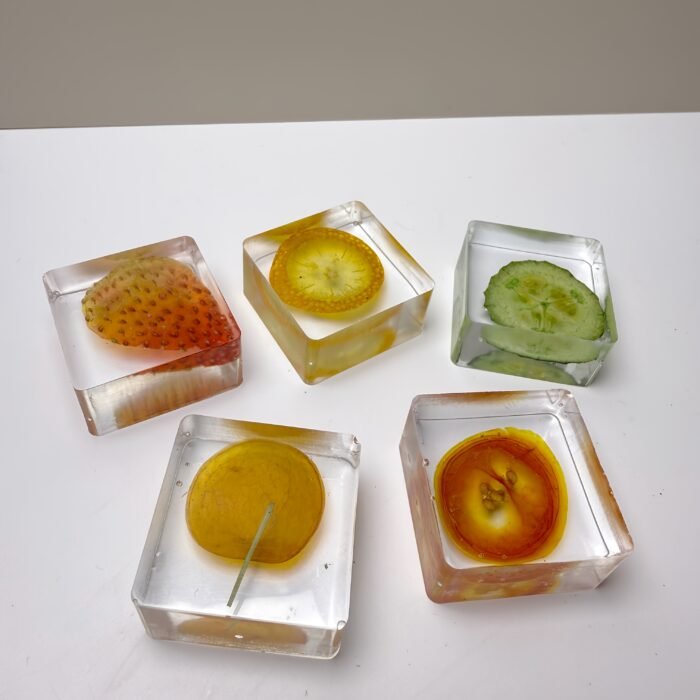 Fruits 3D Specimen Blocks – (5pcs) - Image 7