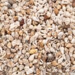 The Mixed Mini Seashells set (900pcs) (3years+) - Image 2