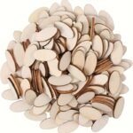 200pcs Natural Wooden Oval Chips (3Yr+)