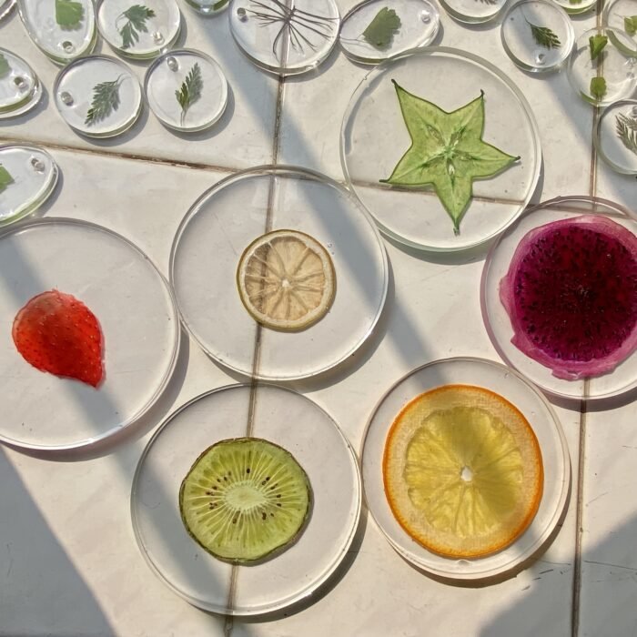 Fruits 3D Specimen Blocks – (6pcs) - Image 5