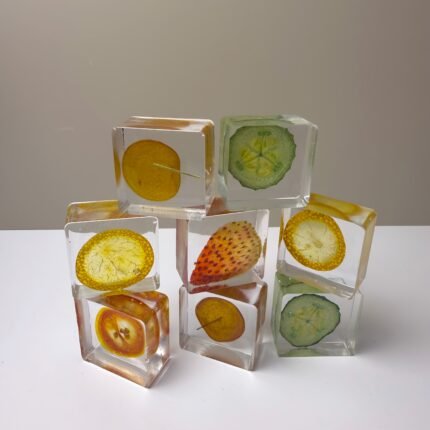 Fruits 3D Specimen Blocks – (5pcs)