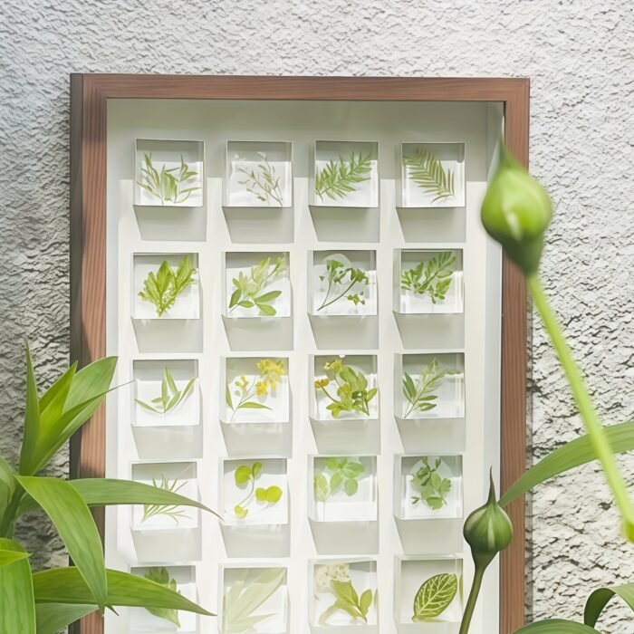 Plant & Shells 3D Specimen Blocks (12 Blocks) - Image 7