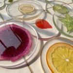 Fruits 3D Specimen Blocks – (6pcs) - Image 2