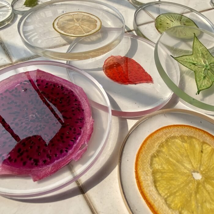 Fruits 3D Specimen Blocks – (6pcs) - Image 2