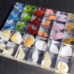 Plant & Shells 3D Specimen Blocks (12 Blocks) - Image 10