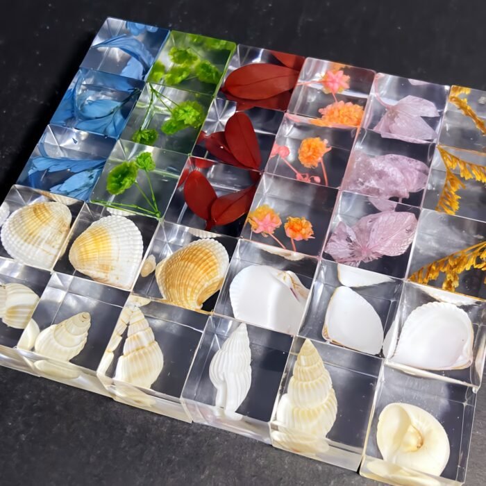 Plant & Shells 3D Specimen Blocks (12 Blocks) - Image 10