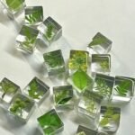 Plant & Shells 3D Specimen Blocks (12 Blocks) - Image 3
