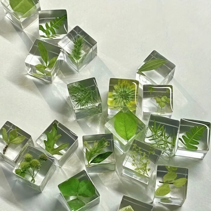 Plant & Shells 3D Specimen Blocks (12 Blocks) - Image 3
