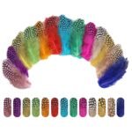 120pcs mixed set of 13 colors Feather Pack - Image 4