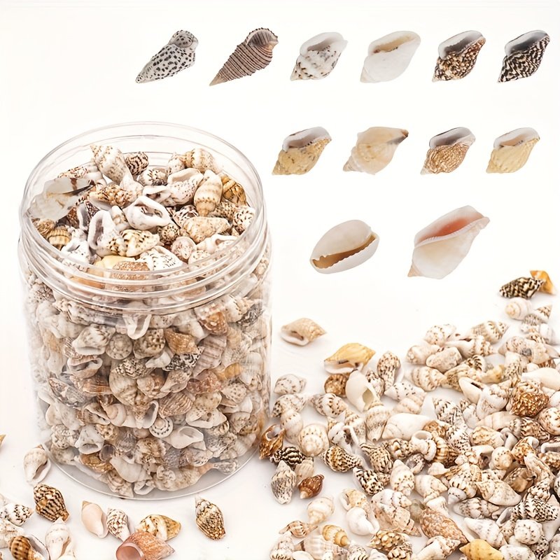 product-fancy-f33fcb5a-d179-4451-a05b-6598aad16703 The Mixed Mini Seashells set (900pcs) (3years+) - Image 3