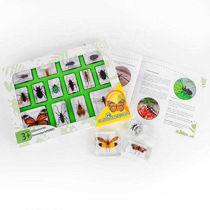 Mini Beasts Butterflies and Insects Discovery Set - Image 1