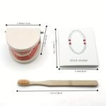 Toothbrushing Practice Model – - Image 4
