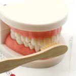 Toothbrushing Practice Model –