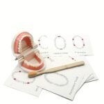 Toothbrushing Practice Model – - Image 2