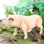 Realistic Farm Animal Figurines Set - Image 13