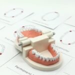 Toothbrushing Practice Model – - Image 7