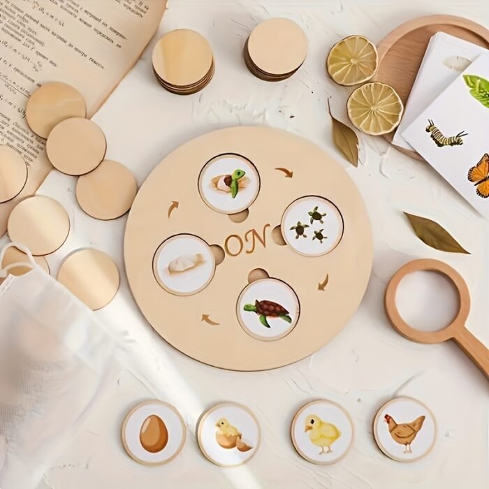 Wooden Life Cycle Board Games - Image 3