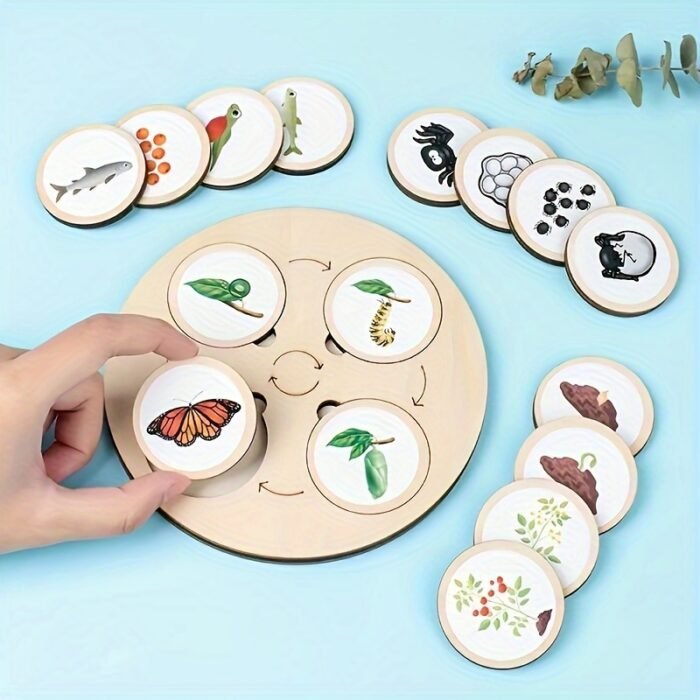Wooden Life Cycle Board Games - Image 7