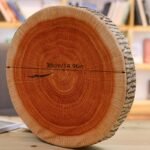 3D Tree Stump Decorative Cushion (5 Set) - Image 3
