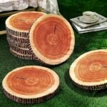 3D Tree Stump Decorative Cushion (5 Set)