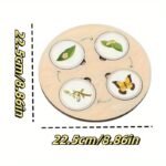 Wooden Life Cycle Board Games - Image 4