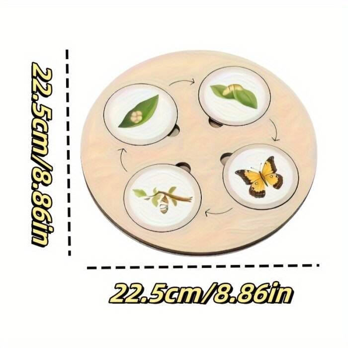 Wooden Life Cycle Board Games - Image 4