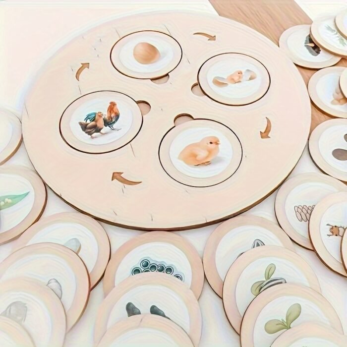 Wooden Life Cycle Board Games - Image 2