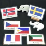 World Flags Flash Cards - Image 3