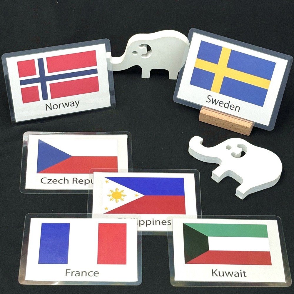 product-open-e747697a21c1412aaf61095dae87f745-goods World Flags Flash Cards - Image 3