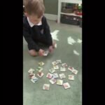 Wooden Butterfly Matching Puzzle – 30 Species - Image 9