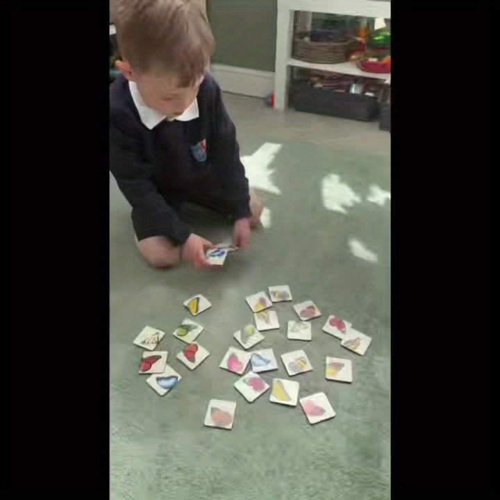 product-5428cb99fdb15bcc4d86b096a6a63b9d29ce0885.goods_.000001 Wooden Butterfly Matching Puzzle – 30 Species - Image 9