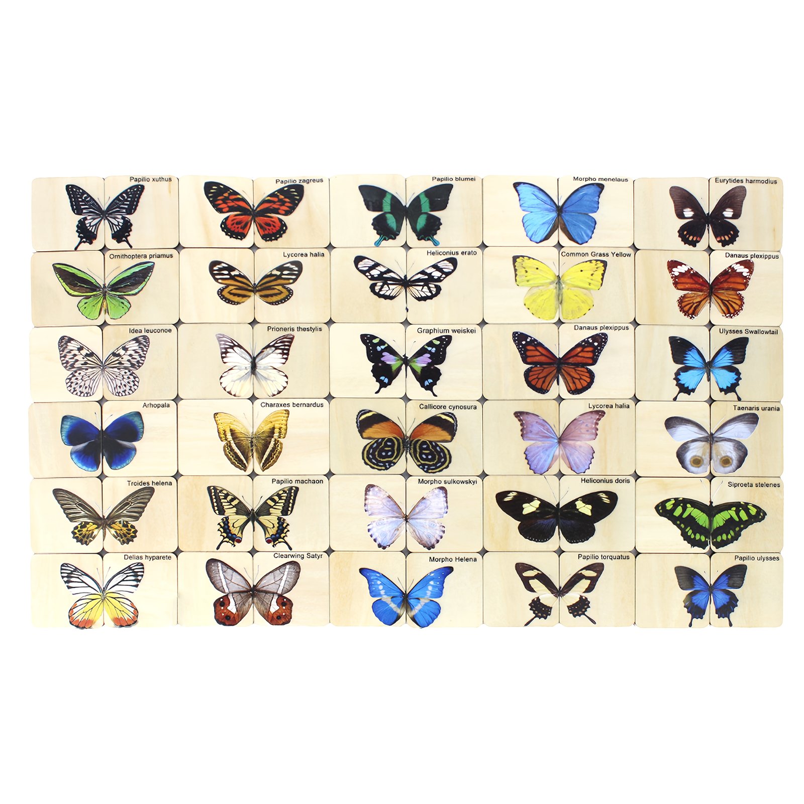 product-fancy-00897e97-5dfe-4194-beb3-79aa19702b86 Wooden Butterfly Matching Puzzle – 30 Species - Image 1